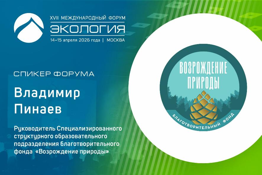 Эффект прозрачной коммуникации: как говорить на одном языке с обществом