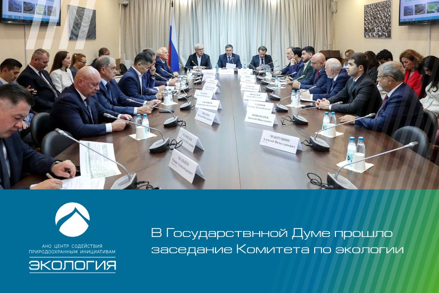 Мониторинг рекультивации полигонов и другие вопросы экологии обсудили в Госдуме