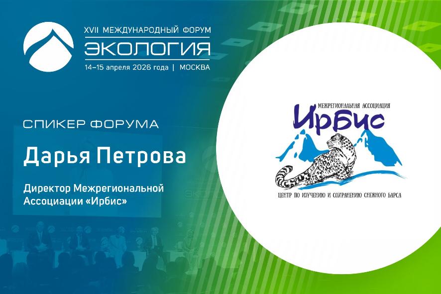 Как сохранить снежного барса: опыт Межрегиональной ассоциации «Ирбис» на форуме «Экология»