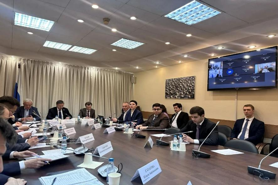 Зеленая зона неопределенности: городские леса без правил и ООПТ без четких границ
