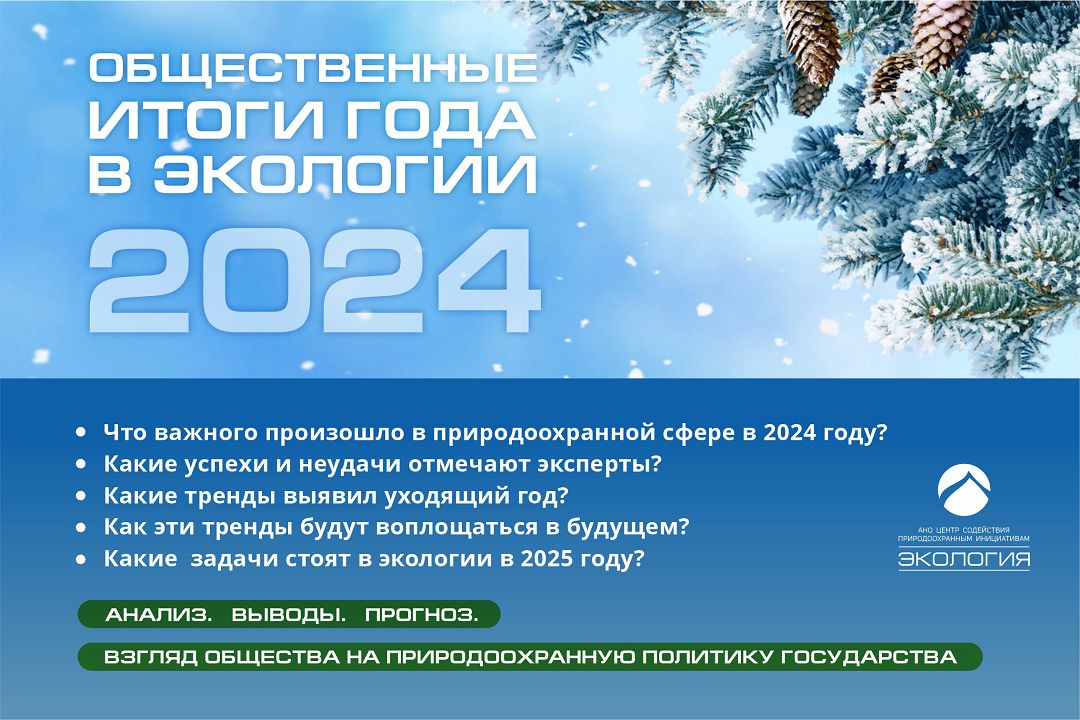 АНО «Экология» вместе с экспертами подвела общественные итоги 2024 года в экологии