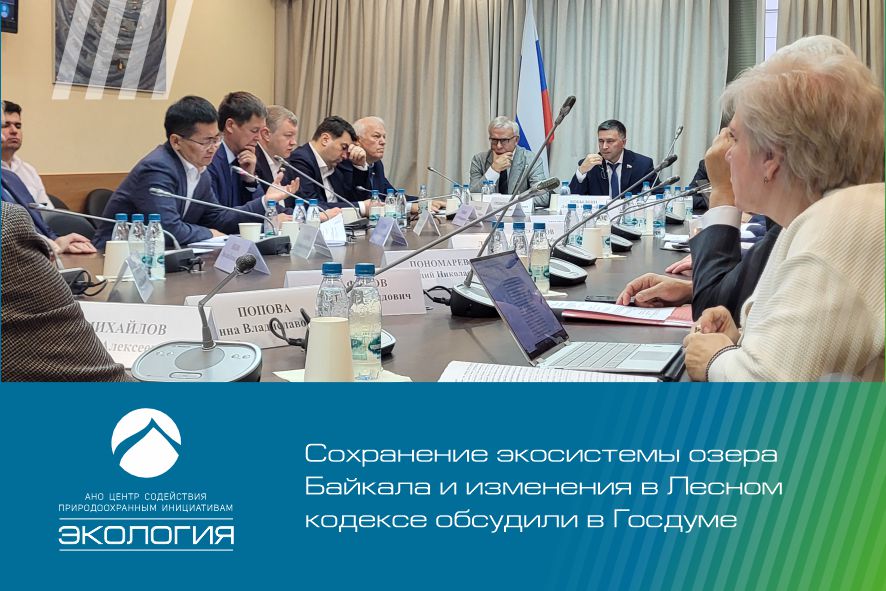 Сохранение экосистемы озера Байкала и изменения в Лесном кодексе обсудили в Госдуме
