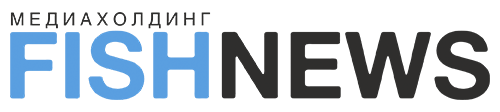 FishNews.png